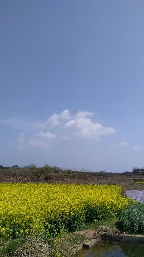 七都镇天气预报更新通知